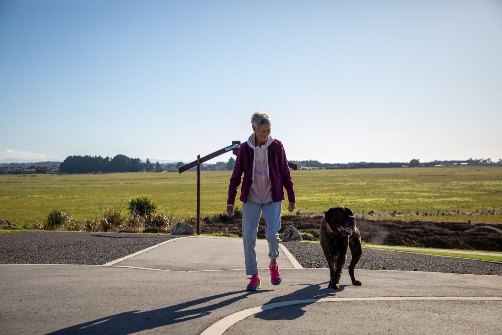 Walking with a dog along the marae path